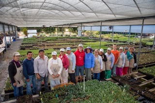 The Cornflower Farms team